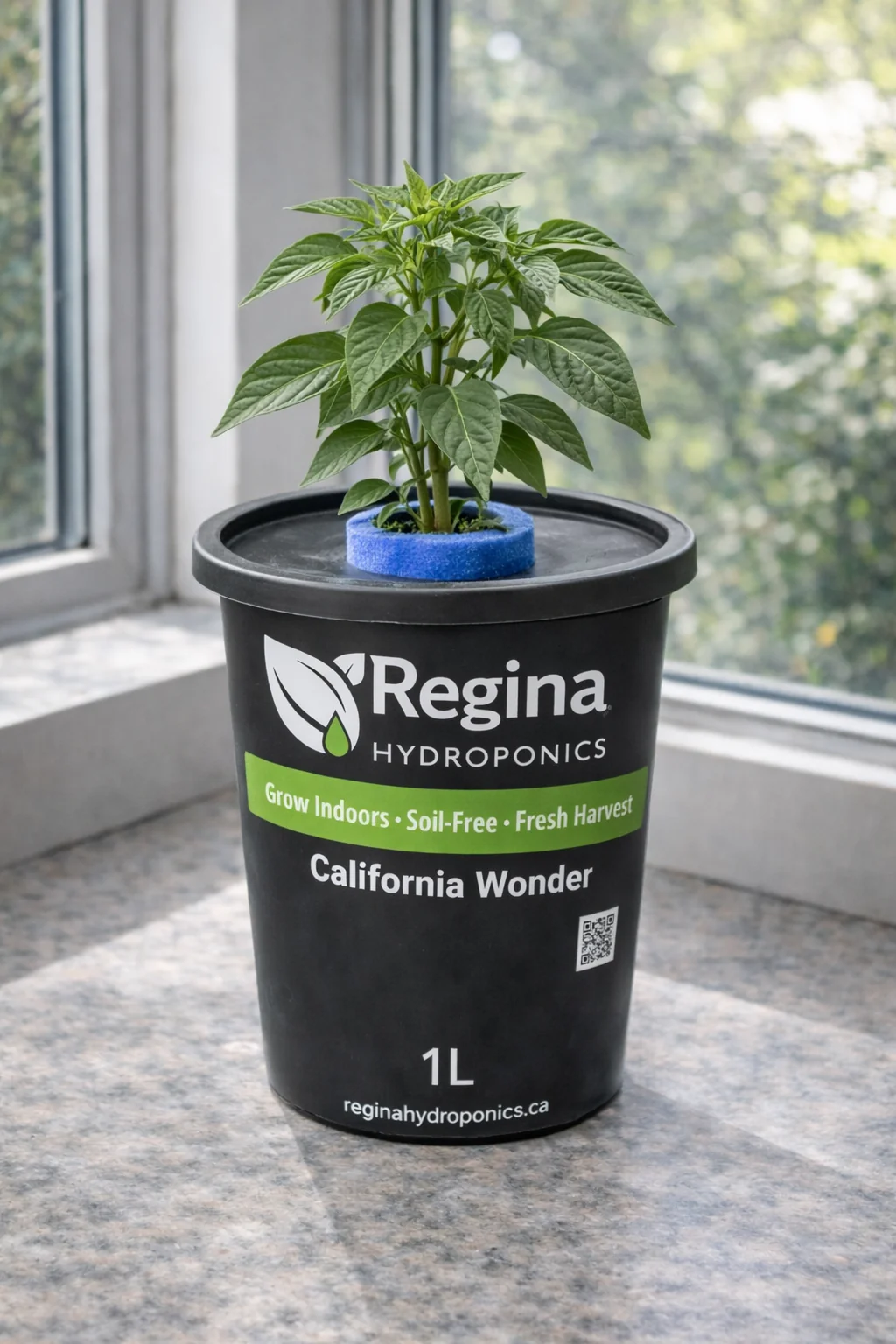 California Wonder Bell Pepper