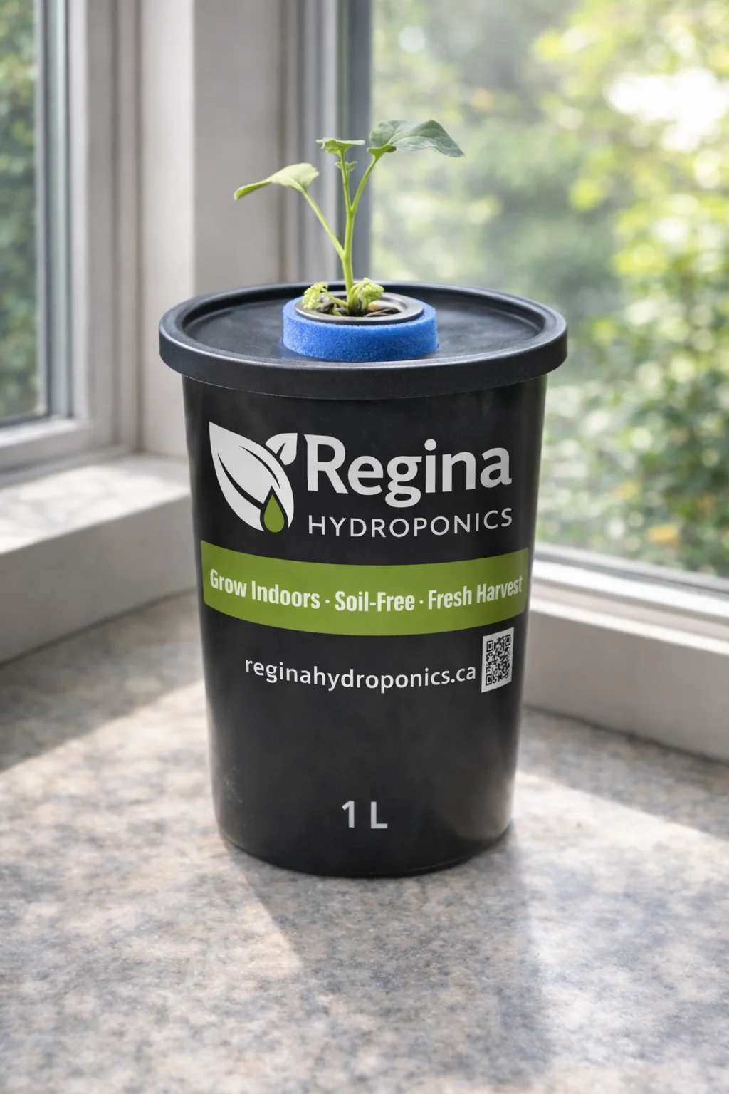 Regina Hydroponics De Cicco Broccoli (1 L Container)